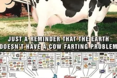 Politseisse pöördus üks vanem daam kaebusega, et teda olla vägistatud