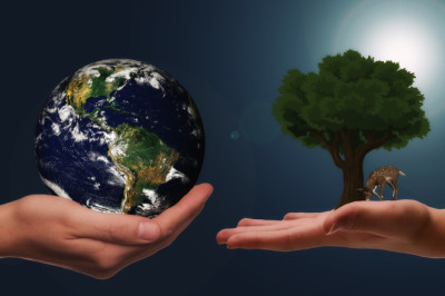 Kümme keskkonnakaitsjate müüti