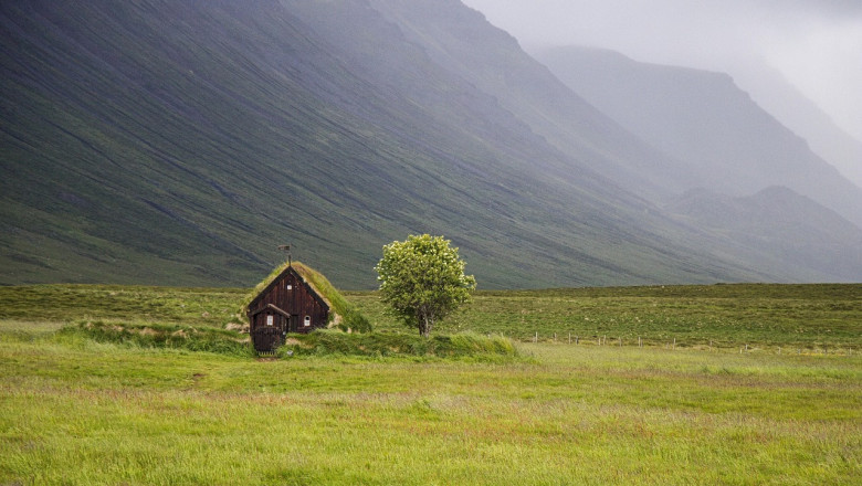 Pole lihtne olla roheline