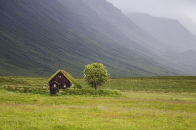 Pole lihtne olla roheline