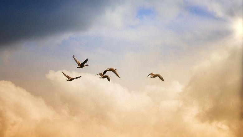 Teadlased on avastanud täiusliku päeva valemi