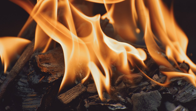 Viinis illegaalselt viibivale perele 50 000 eurot aastas