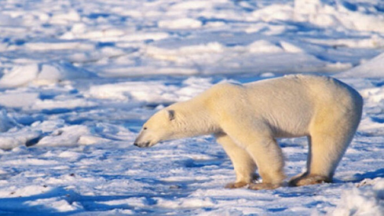 ÜRO kõrgeim ametnik tunnistab, et kliimamuutused on seotud maailmamajanduse muutmisega