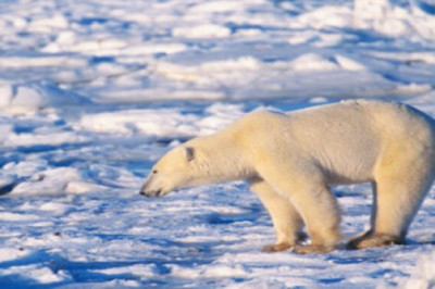 ÜRO kõrgeim ametnik tunnistab, et kliimamuutused on seotud maailmamajanduse muutmisega