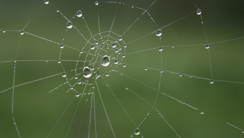 Avalik kiri Kliimaministeeriumile