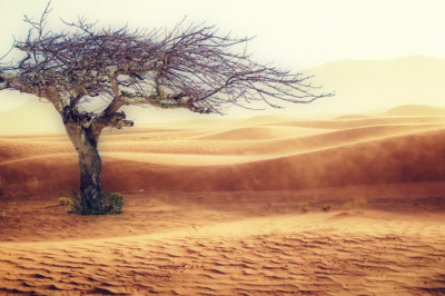 Konditsioneeri täitmine tagab mugavuse ja kliimasüsteemi tervise