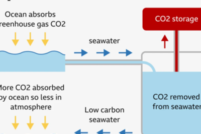 Teadus: Süsiniku merest välja imemine – uusim maksumaksja rahastatud kliimatrikk