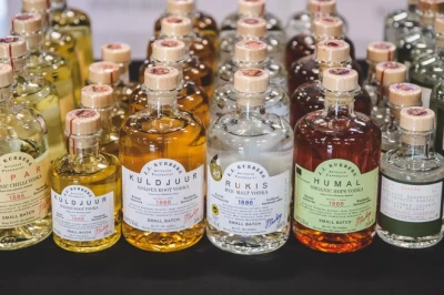 Igapäevadebiilsused riigivalitsemises