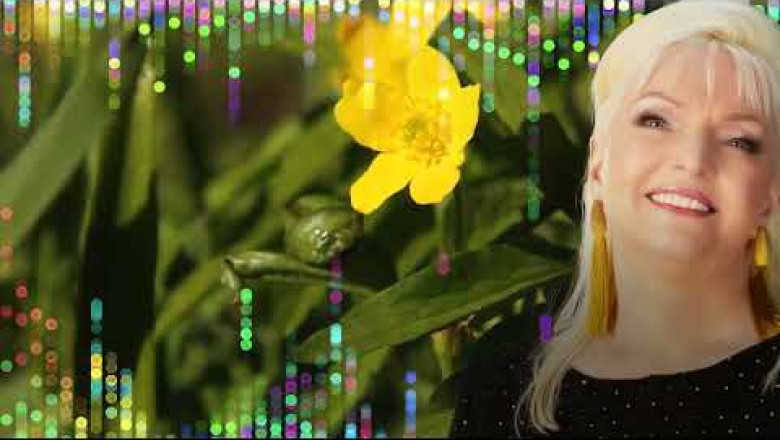 Marju Länik - Palju head on alles ees