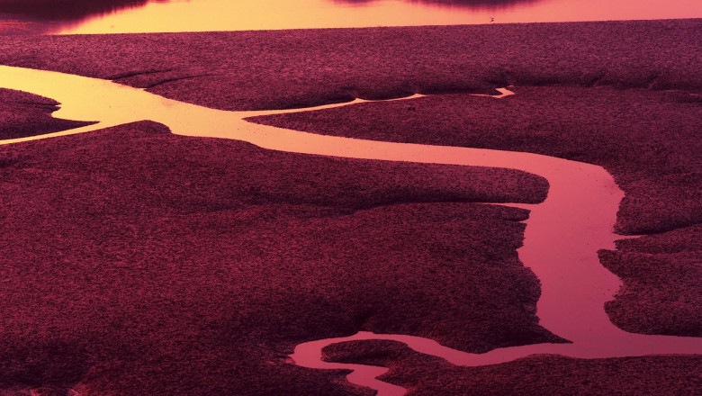 Elektrikatkestus: Net Zero Agenda düstoopiline mõju