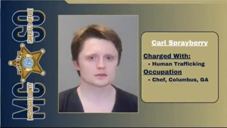 Georgia osariigi demokraatlik poliitik vahistati sekskaubanduses osalemise eest