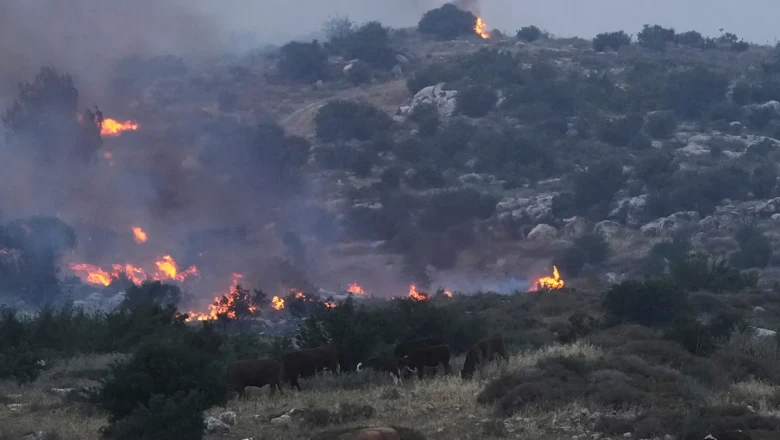 Luureallikad väidavad, et Putini sõjaeesmärgid Ukrainas näivad muutuvat