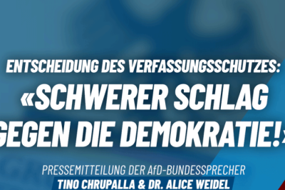 AfD väidab, et rünnak partei vastu on 