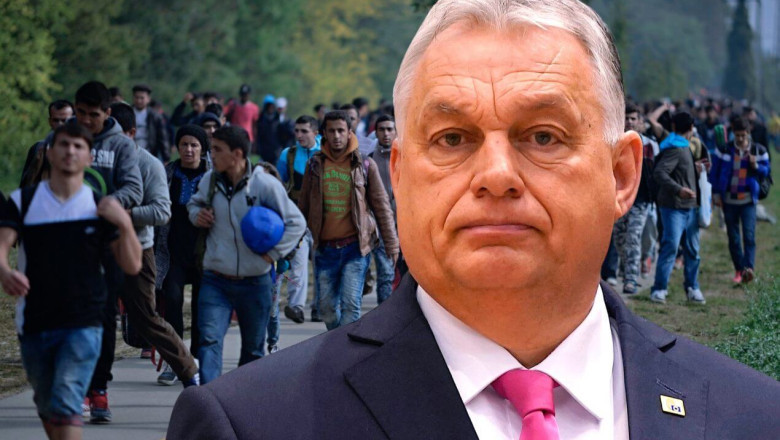 Tung Ungari piiril: ebaseaduslik migratsioon kasvab plahvatuslikult