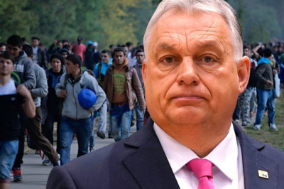 Tung Ungari piiril: ebaseaduslik migratsioon kasvab plahvatuslikult