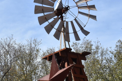 Uued keskkonnakaitse põhimõtted