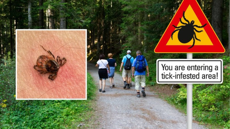 Arreteeriti Egiptuse kodanik: väidetavalt pussitas ta Klagenfurteris noormeest