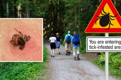 Arreteeriti Egiptuse kodanik: väidetavalt pussitas ta Klagenfurteris noormeest