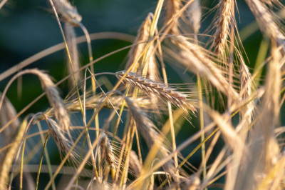 EL Ukrainale: siin on laskemoon, aga edu nisu müümisel