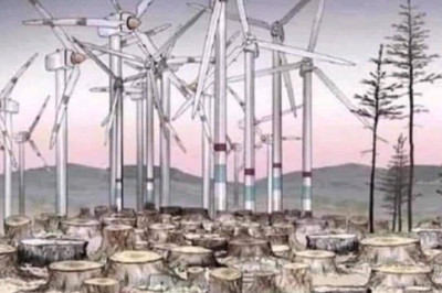 Kuni 95% täiskasvanud puu massist koosneb süsinikdioksiidist ja hapnikust