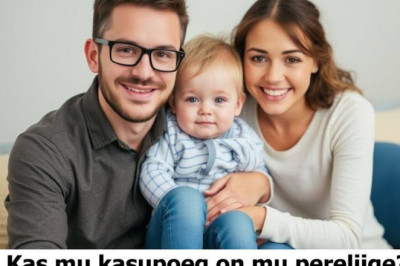 Laaneti sõnul tegi prokuratuur talle meelega ära