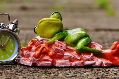 Süüria perekond saab 9000 eurot – varjupaiga sotsiaalne paradiis?