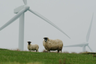 Hollandi avamere tuuleenergia buum võib põhjustada tohutu leibkondade arvete suurenemise