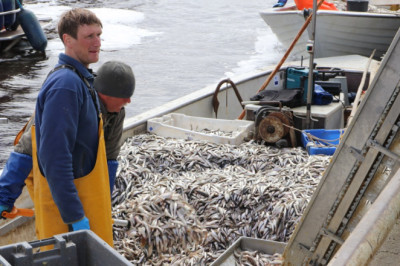Minister Terras lihtsustas kutselise kalapüügi andmete esitamist