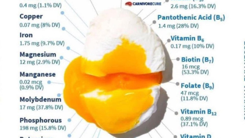 Unusta toidulisandid. Muna ja küüslauk - tervisevõtmed
