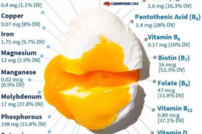 Unusta toidulisandid. Muna ja küüslauk - tervisevõtmed