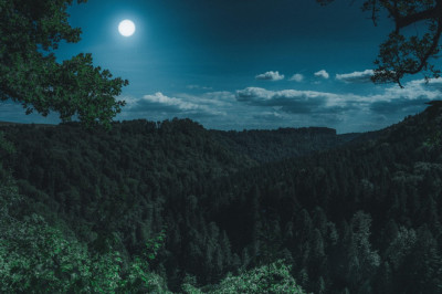 Kõrgema CO2 heitkoguse tõttu tekkiv globaalne rohelus saavutab silmatorkavaid uusi kõrgusi