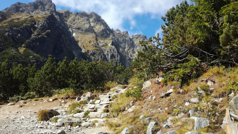 Fico taotleb Venemaa-vastaste uute EL-i sanktsioonide hääletuse edasilükkamist: "Slovakkial pole põhjust Ukraina pärast kannatada"
