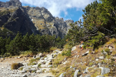 Fico taotleb Venemaa-vastaste uute EL-i sanktsioonide hääletuse edasilükkamist: 