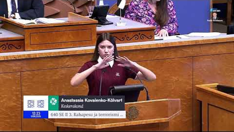 Anastassia Kovalenko-Kõlvart: Valitsus soovib anda rahapesu andmebüroole õiguse luua superandmebaas