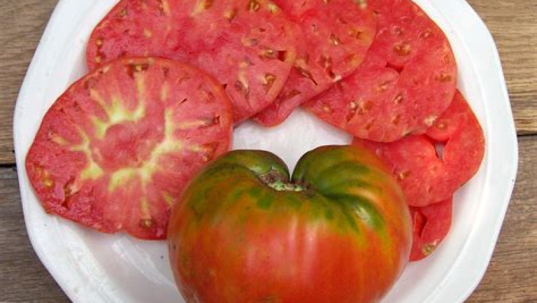 Saksa sotsialistid tahavad nn. catwalk'i kriminaliseerida