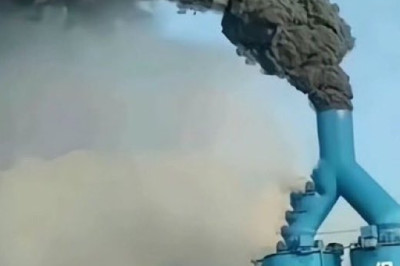 Ilma parandamiseks peate sööma putukaid