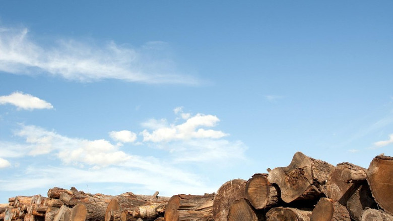 Poola on vastu ELi uuele 2040. aasta heitkoguste eesmärgile