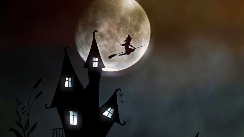 Linnavalitsus soosib tõuksi- ja jalgrattaterrorit