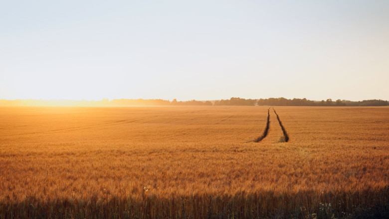 Valitsus kinnitas Eesti seisukohad seoses ELi ühise põllumajanduspoliitika ja ühise kalanduspoliitikaga perioodil 2028−2034