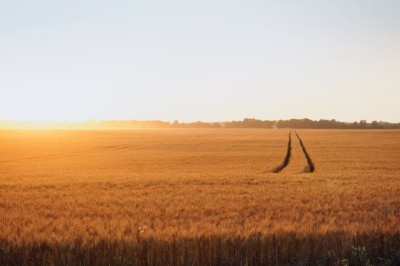 Valitsus kinnitas Eesti seisukohad seoses ELi ühise põllumajanduspoliitika ja ühise kalanduspoliitikaga perioodil 2028−2034