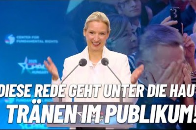Kaugeltki mitte isoleeritud: AfD lihtsalt lammutab tulemüüri