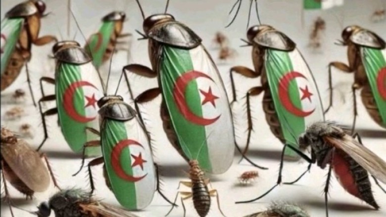 Jalgpall: Aafrika karikas või Prantsuse karikas?