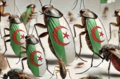 Jalgpall: Aafrika karikas või Prantsuse karikas?