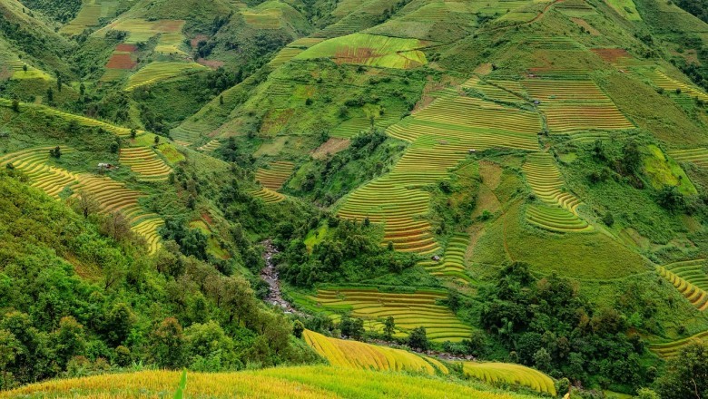 Ebainimlik CO2 pettus: miks „Net Zero” absoluutselt mitte midagi ei muuda