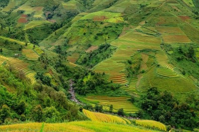 Ebainimlik CO2 pettus: miks „Net Zero” absoluutselt mitte midagi ei muuda