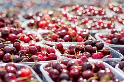 Iirimaa ja Ungari ütlevad EL-Mercosuri paktile ei