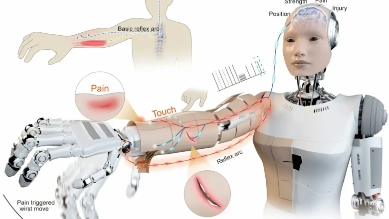 See elektrooniline nahk võimaldab robotitel "tunda" valu