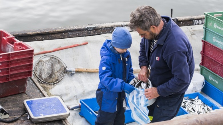 Vabariigi Valitsus kehtestas 2026. aasta kalapüügikvoodid Peipsi, Lämmi- ja Pihkva järvel