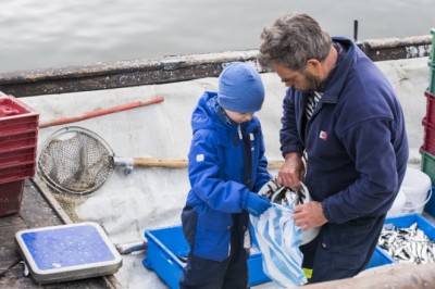 Vabariigi Valitsus kehtestas 2026. aasta kalapüügikvoodid Peipsi, Lämmi- ja Pihkva järvel